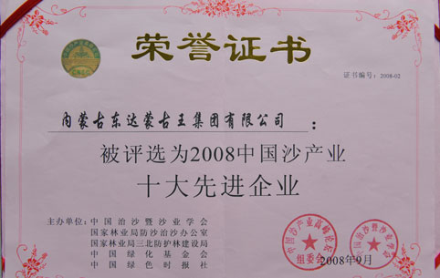 2008中國沙產(chǎn)業(yè)十大先進(jìn)企業(yè)